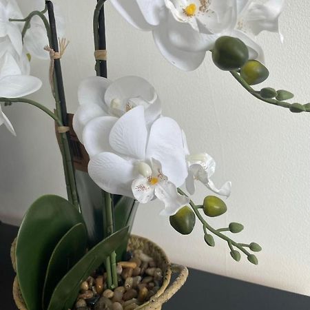 卡迪夫Cozy Flat 15 Mins From City Centre With Parking公寓 外观 照片